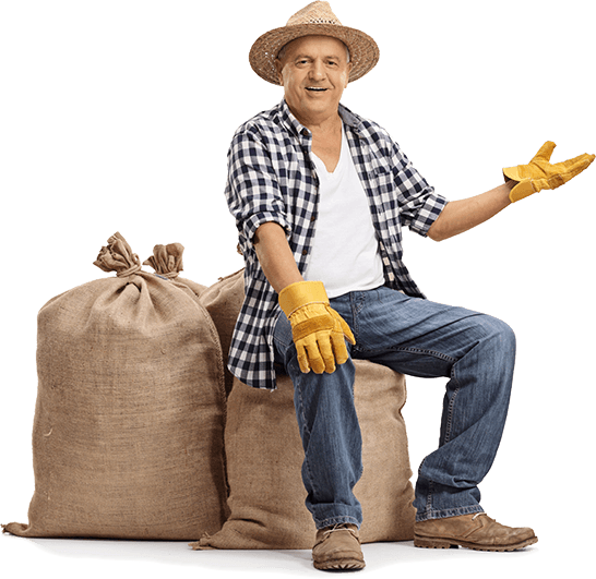 Food bank resources